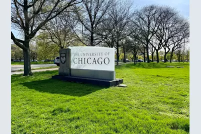 1534 E 59th Street #L2, Chicago, IL 60637 - Photo 25