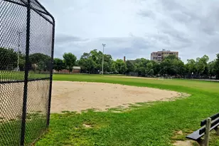 4775 N Linder Ave, Chicago, IL 60630 - Photo 3