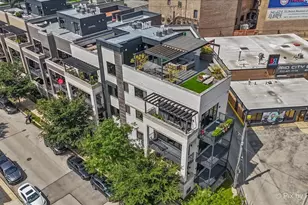 1334 W Walton St, Chicago, IL 60642 - Photo 29