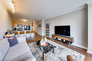 512 N McClurg Ct, Chicago, IL 60611 - Photo 7
