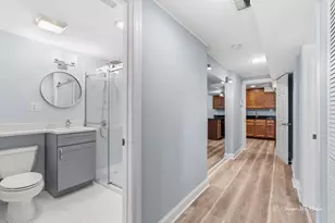 4558 N Kostner Ave, Chicago, IL 60630 - Photo 19