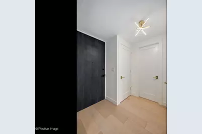 1030 N State Street #29J, Chicago, IL 60610 - Photo 3