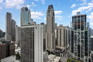 1030 N State St, Chicago, IL 60610 - Photo 21