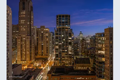 1030 N State Street #29J, Chicago, IL 60610 - Photo 23