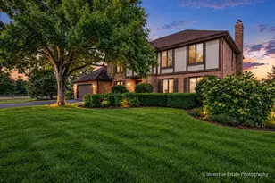 6201 Sleepy Hollow Ln, Lisle, IL 60532 - Photo 1