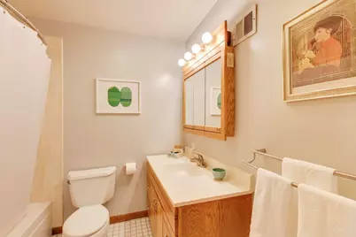 3827 White Cloud Drive, Skokie, IL 60076 - Photo 33
