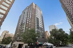 21 W Goethe St, Chicago, IL 60610 - Photo 1