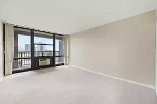 3001 S Michigan Ave, Chicago, IL 60616 - Photo 11