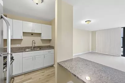 3001 S Michigan Avenue #809, Chicago, IL 60616 - Photo 9