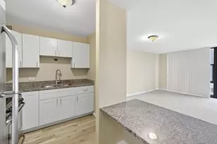 3001 S Michigan Ave, Chicago, IL 60616 - Photo 9