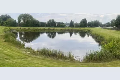 21372 Brittany Drive, Frankfort, IL 60423 - Photo 79