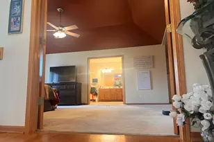 21372 Brittany Dr, Frankfort, IL 60423 - Photo 41