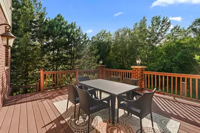 22550 Nature Creek Circle, Frankfort, IL 60423 - Photo 71