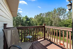 22550 Nature Creek Cir, Frankfort, IL 60423 - Photo 53