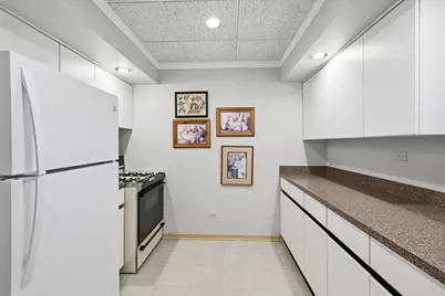 254 Wood Glen Lane, Oak Brook, IL 60523 - Photo 33