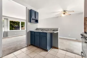 6606 102nd Pl, Chicago Ridge, IL 60415 - Photo 11