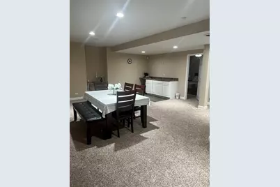7324 W Braemar Lane, Frankfort, IL 60423 - Photo 43