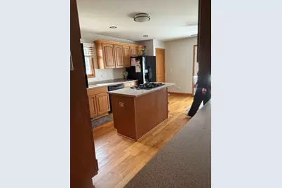 7324 W Braemar Lane, Frankfort, IL 60423 - Photo 17