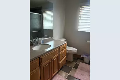 7324 W Braemar Lane, Frankfort, IL 60423 - Photo 23