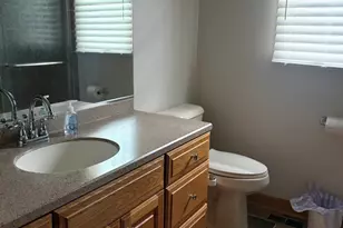 7324 W Braemar Ln, Frankfort, IL 60423 - Photo 23