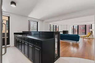 40 E Delaware Pl, Chicago, IL 60611 - Photo 11