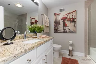 1705 Pavilion Way, Park Ridge, IL 60068 - Photo 27