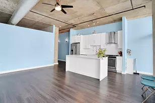 50 E 16th St, Chicago, IL 60616 - Photo 5