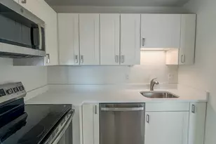 1255 N Sandburg Terrace, Chicago, IL 60610 - Photo 5