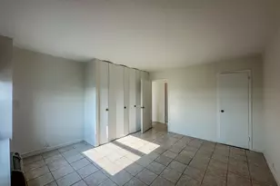 1255 N Sandburg Terrace, Chicago, IL 60610 - Photo 9