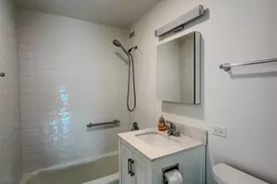 1255 N Sandburg Terrace, Chicago, IL 60610 - Photo 11