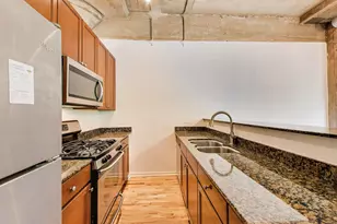1070 W 15th St, Chicago, IL 60608 - Photo 13
