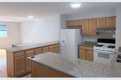 1951 S Wells Street #1, Chicago, IL 60616 - Photo 5