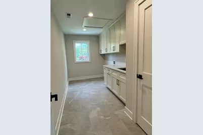 Lot 1 S Pine Avenue, Arlington Heights, IL 60005 - Photo 11