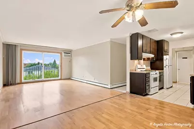 8970 N Parkside Avenue #406, Des Plaines, IL 60016 - Photo 9