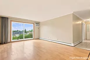 8970 N Parkside Ave, Des Plaines, IL 60016 - Photo 13