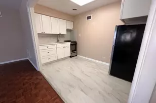 8701 S Mozart Ave, Evergreen Park, IL 60805 - Photo 3