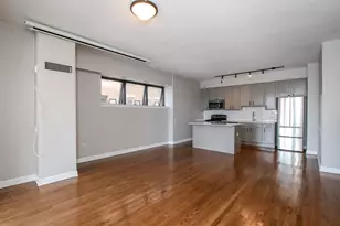41 E 8th St, Chicago, IL 60605 - Photo 3