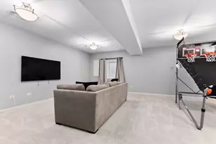 1876 Royalglen Dr, New Lenox, IL 60451 - Photo 25
