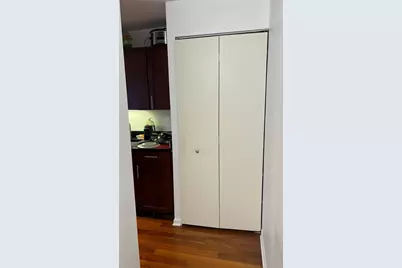 222 E Pearson Street #2604, Chicago, IL 60611 - Photo 17