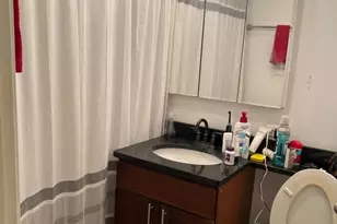 222 E Pearson St, Chicago, IL 60611 - Photo 15