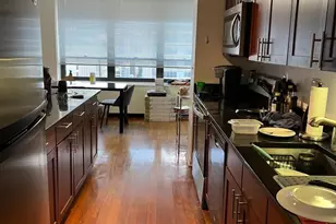 222 E Pearson St, Chicago, IL 60611 - Photo 11