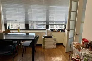 222 E Pearson St, Chicago, IL 60611 - Photo 19
