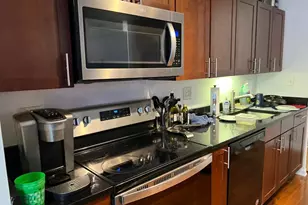 222 E Pearson St, Chicago, IL 60611 - Photo 13