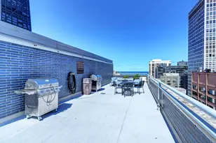 222 E Pearson St, Chicago, IL 60611 - Photo 9