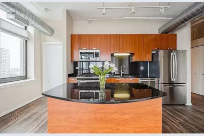 212 E Cullerton Street #1204, Chicago, IL 60616 - Photo 3
