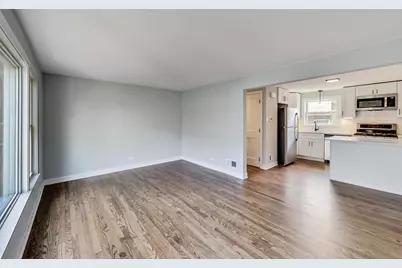 11106 S Washtenaw Avenue #1E, Chicago, IL 60655 - Photo 3