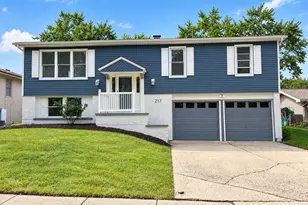 217 N Schmidt Rd, Bolingbrook, IL 60440 - Photo 1