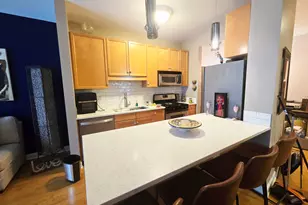 1133 S State St, Chicago, IL 60605 - Photo 5