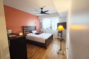 1133 S State St, Chicago, IL 60605 - Photo 9