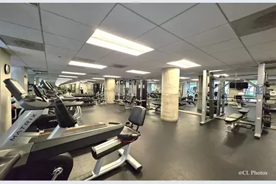 720 N Larrabee Street #1104, Chicago, IL 60654 - Photo 21